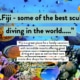 Best diving in the world fiji on the list travel and leisure