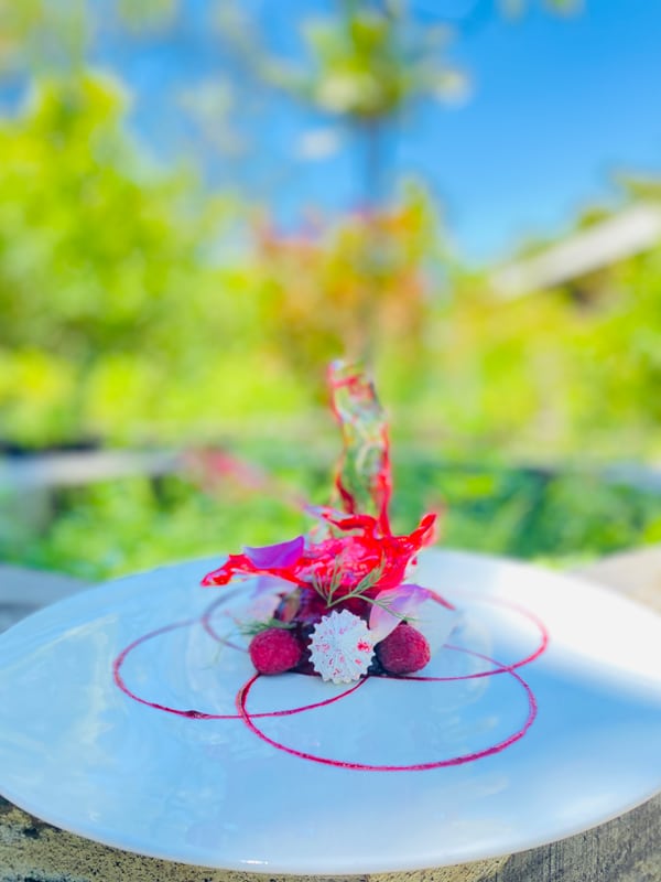 Inspired by pantone colour of the year viva magenta vomo island fiji dessert beetroot parfait