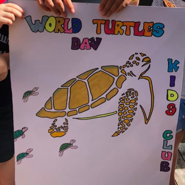 World turtle day vomo island fiji