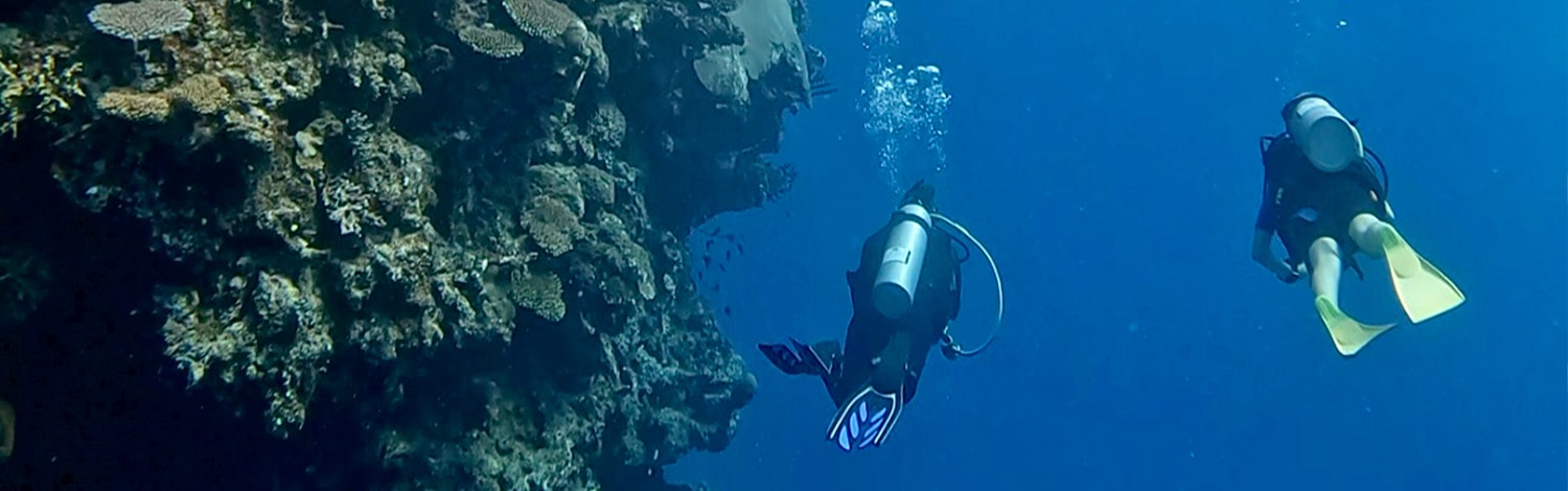 Fiji dive resort fiji scuba diving at vomo island resort fiji